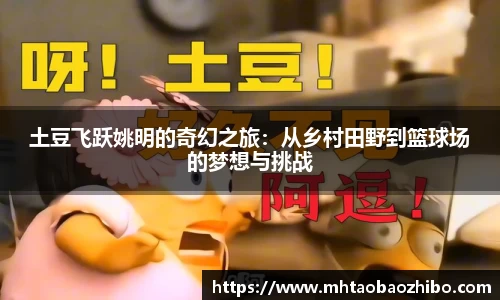 土豆飞跃姚明的奇幻之旅：从乡村田野到篮球场的梦想与挑战